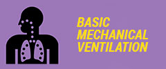 Basic Mechanical Ventilation
